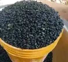 Akidi (black beans) 1 paint