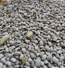 Iron beans 1 bag( 10 painter)