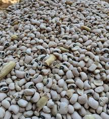 Iron beans 1 bag( 10 painter)
