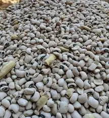 Iron beans 1 bag( 10 painter)