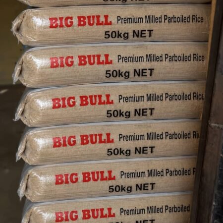 Bag of Rice (12 Painters)